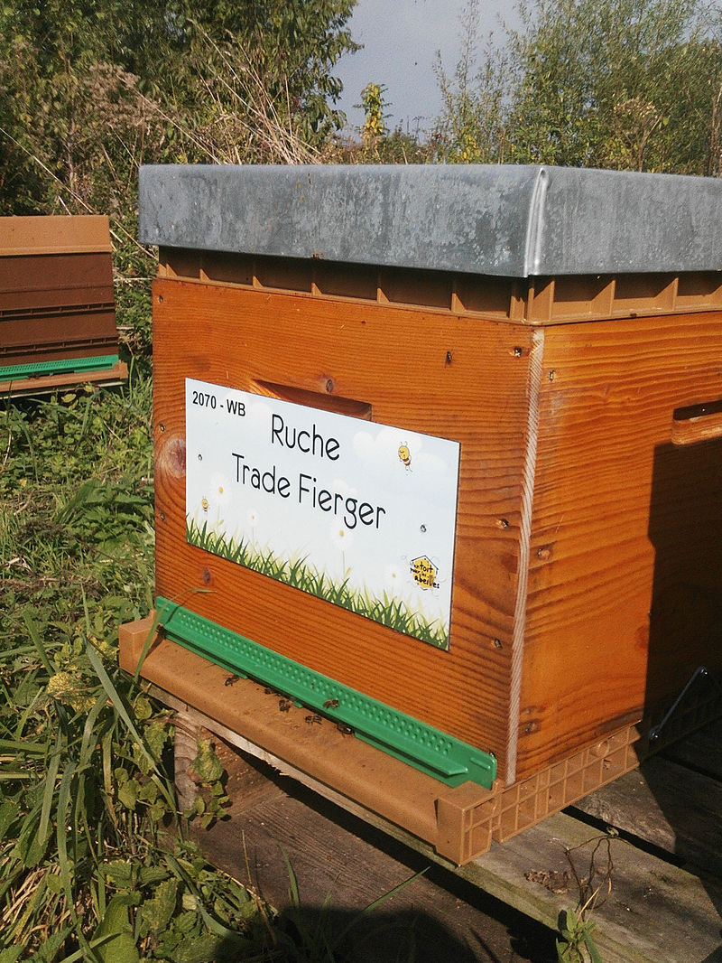 La ruche Trade Fierger